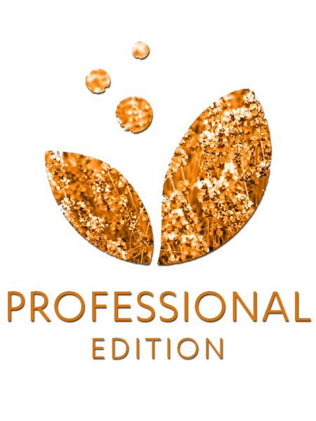 Professional Edition